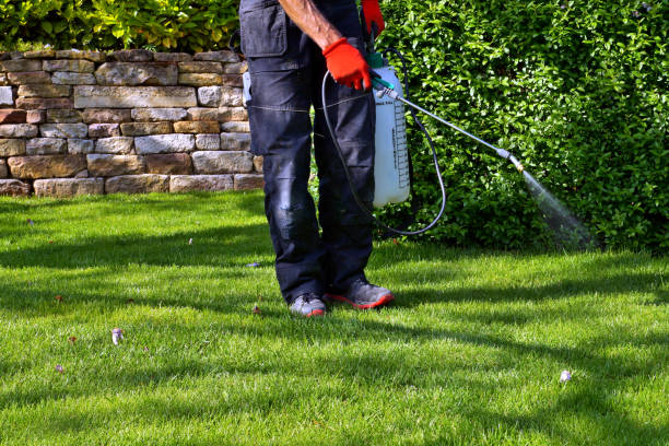 Best Lawn Pest Control  in Urbana, MD